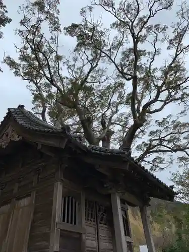 山神社の自然