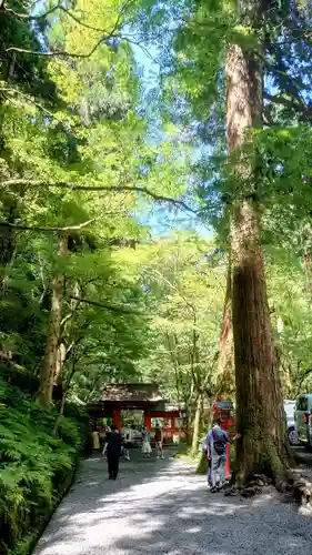 貴船神社(京都府)