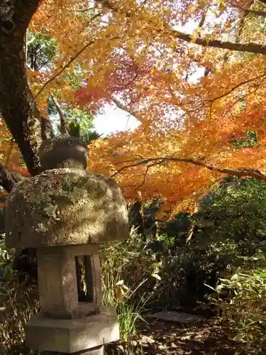 安國論寺(安国論寺)の自然