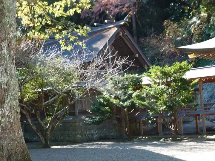 安房神社(千葉県)