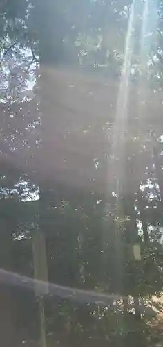 麻賀多神社(千葉県)