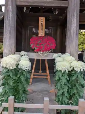 明治神宮(東京都)