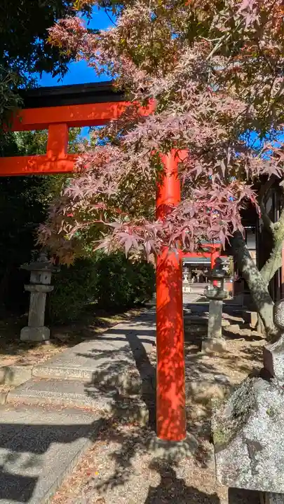 竹中稲荷神社(吉田神社末社)(京都府)