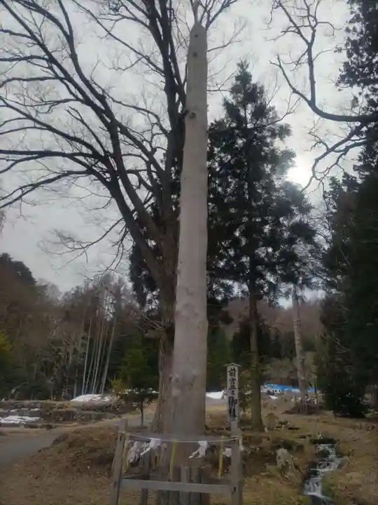 諏訪大社上社前宮(長野県)