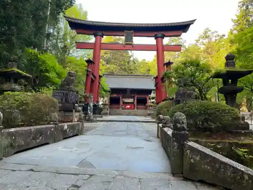 北口本宮冨士浅間神社の鳥居