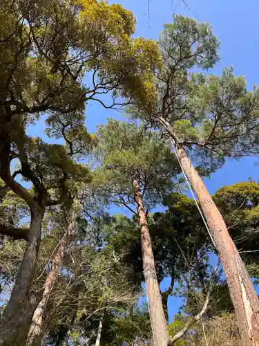 唐澤山神社(栃木県)
