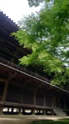 圓教寺(兵庫県)