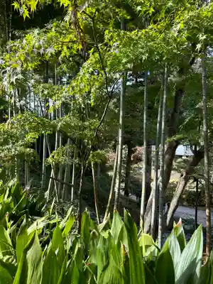 円覚寺(神奈川県)