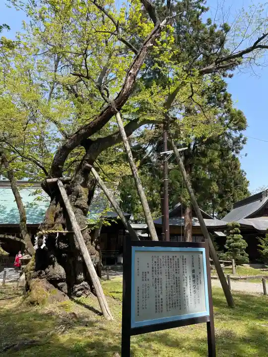蠶養國神社(福島県)