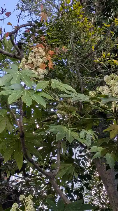 元祇園梛神社・隼神社(京都府)