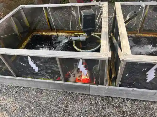 神館飯野高市本多神社(三重県)