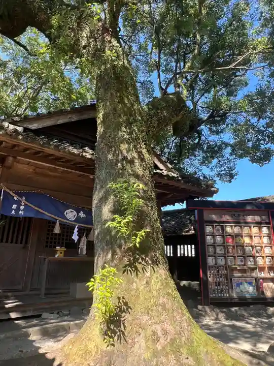 青井阿蘇神社(熊本県)