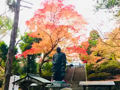 今熊野観音寺(京都府)