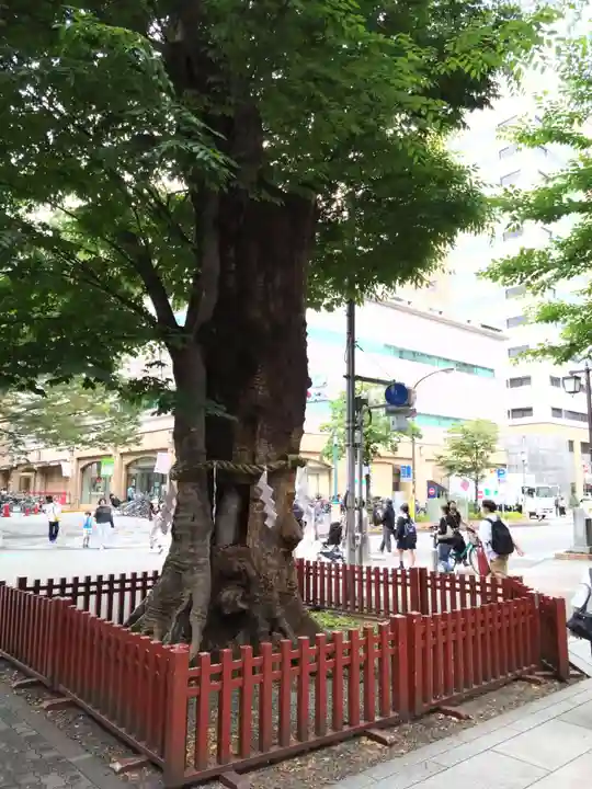大國魂神社(東京都)