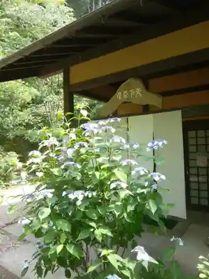 八幡神社松平東照宮(愛知県)