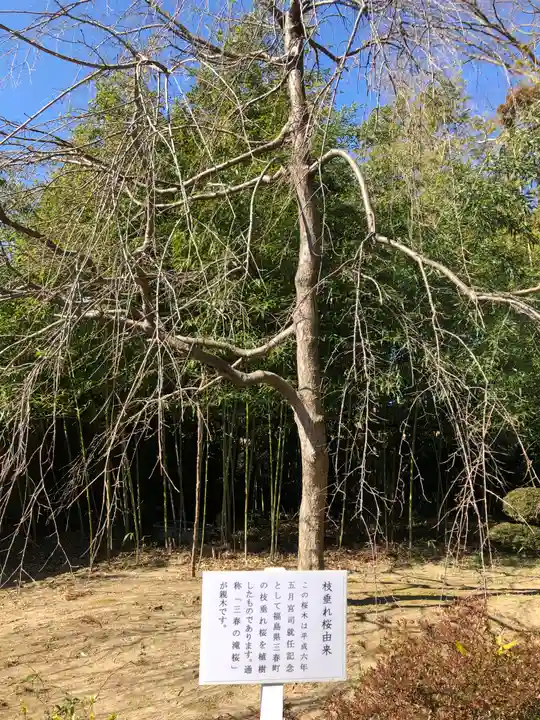 三軒地稲荷神社の自然