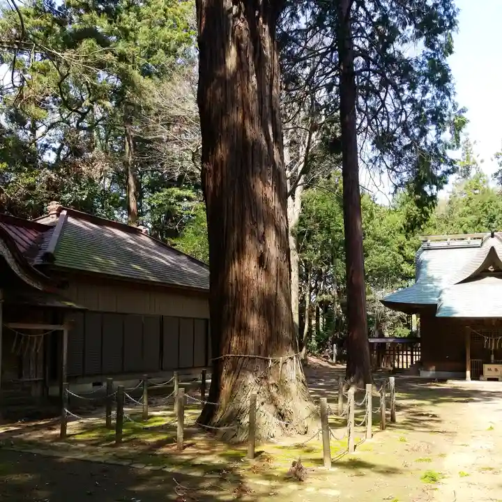 大生神社のその他建物