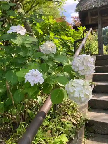 東慶寺(神奈川県)