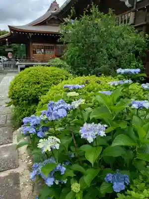 本郷氷川神社(東京都)