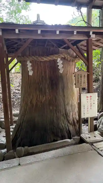 大神神社(奈良県)