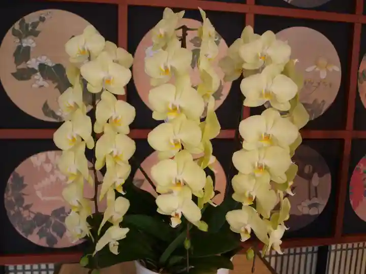 三毳不動尊の周辺