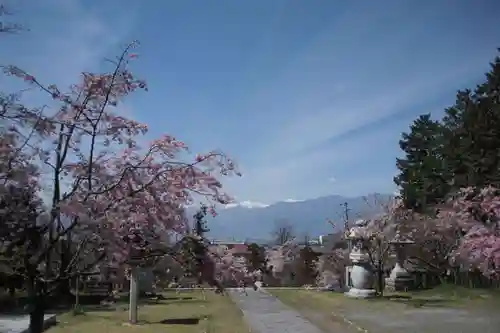 山梨縣護國神社の景色