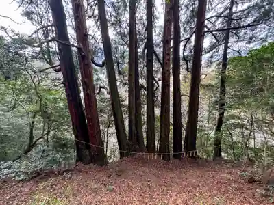 天岩戸神社(宮崎県)