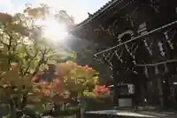 善峯寺(京都府)