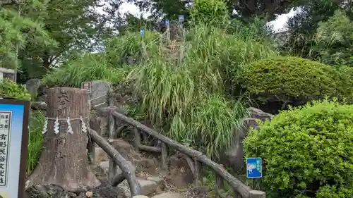 鳩森八幡神社の庭園