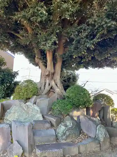 赤城神社(千葉県)