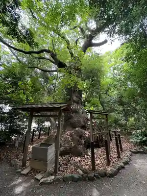 高座結御子神社（熱田神宮摂社）(愛知県)