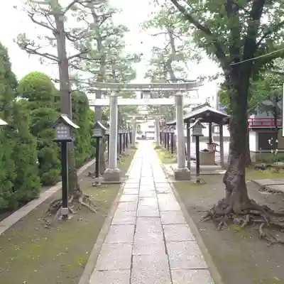 氷川神社の鳥居