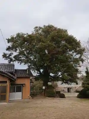 瓶井神社の自然