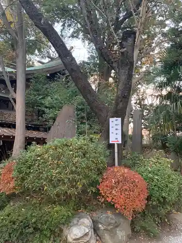 座間神社のその他建物