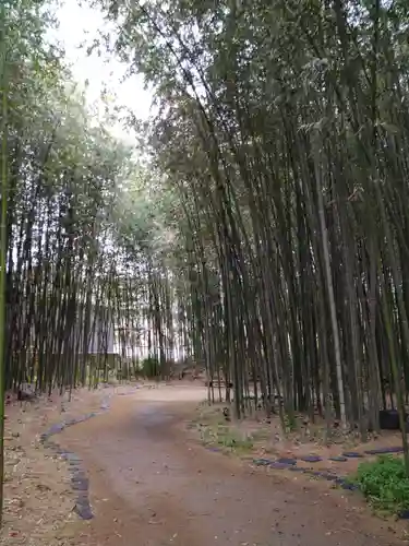 大覚寺(京都府)
