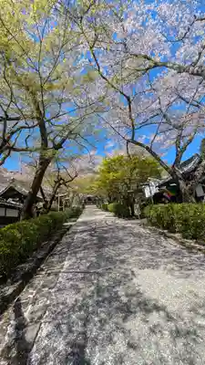 西教寺(滋賀県)