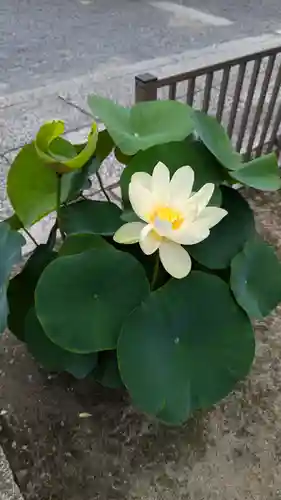 本法寺(京都府)