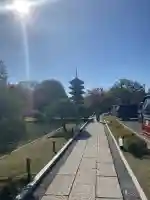 東寺(教王護国寺)(京都府)