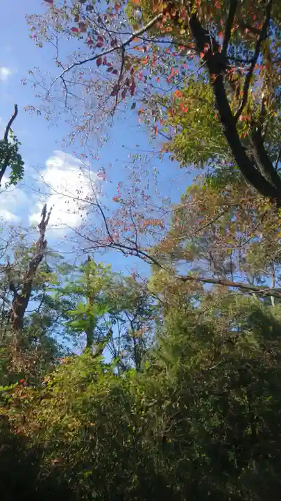水神社(奈良県)