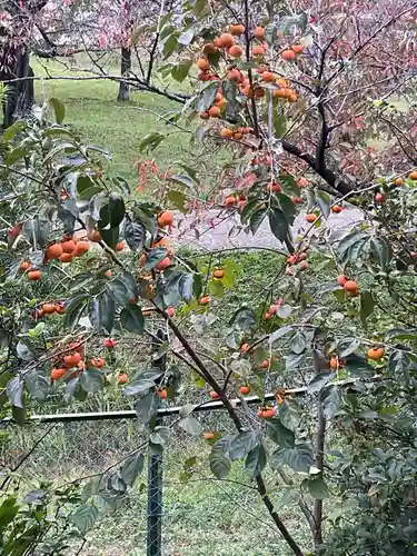辯天寺(愛知県)