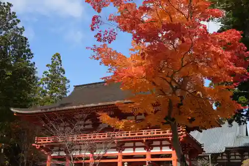 高野山金剛峯寺奥の院(和歌山県)