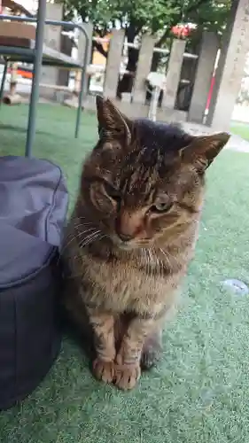 露天神社（お初天神）(大阪府)