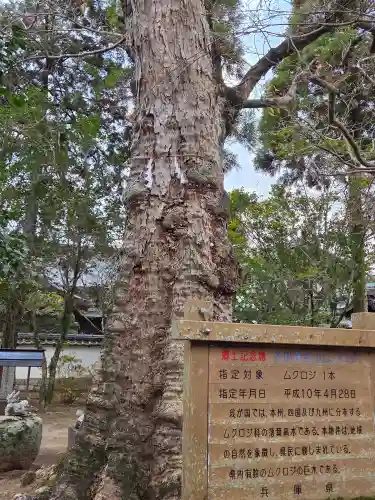 多田神社(兵庫県)