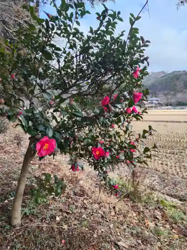高司神社〜むすびの神の鎮まる社〜(福島県)