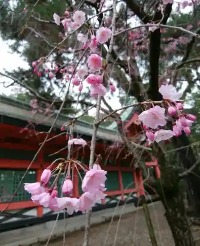 住吉大社の自然