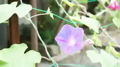 真正極楽寺(真如堂)(京都府)