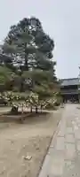 智恩寺(京都府)