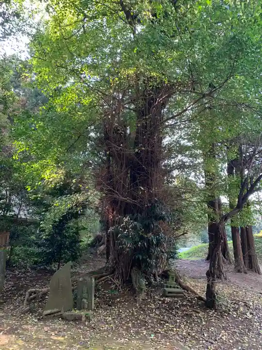 星宮神社(千葉県)