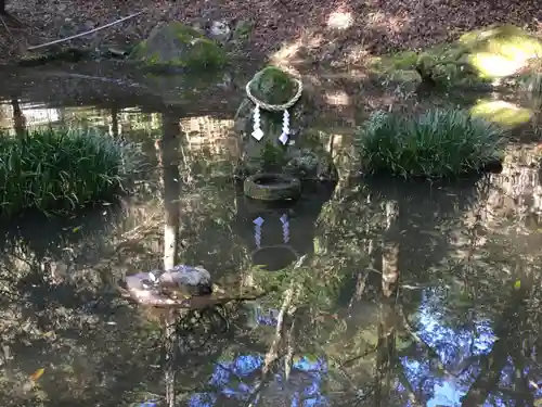 東霧島神社の庭園