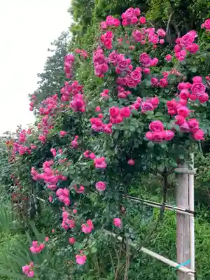 艫神社(茨城県)